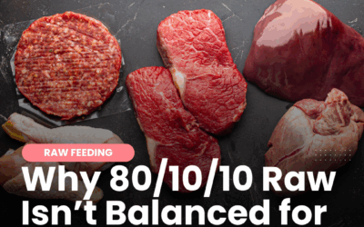 Why the 80/10/10 Raw Food Diet Isn't Balanced for Dogs