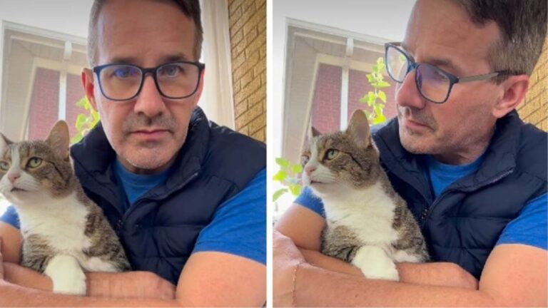 A Vet Was Told It Was “Disgusting” to Let Cats on Furniture. His Response Went Viral