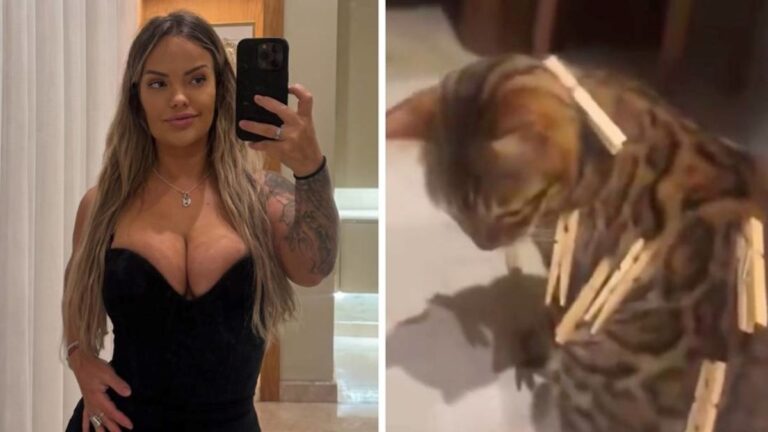 An Influencer’s Video of Clothespins on Her Cat Has the Internet Furious