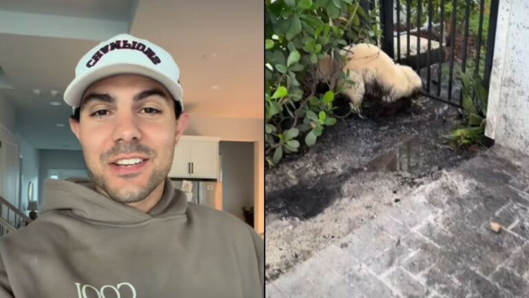 A Seconds Distraction and the Muddy Mess That Followed