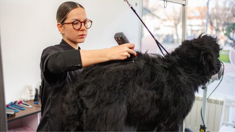 Gross Things Pet Owners Do That Make Dog Groomers Secretly Judge Them