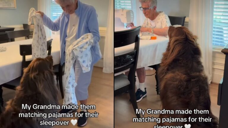 Grandma and Her Dog Chewy Break the Internet with Matching Sleepwear