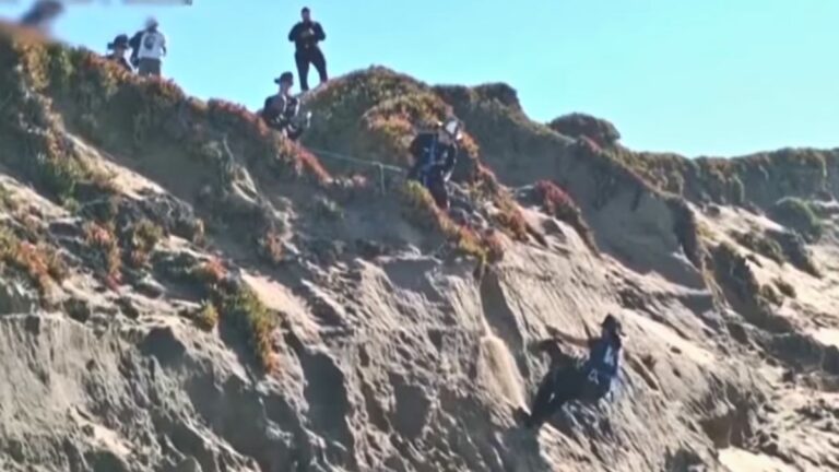 Heartwarming Rescue of Beloved Dog After 100-Foot Cliff Fall