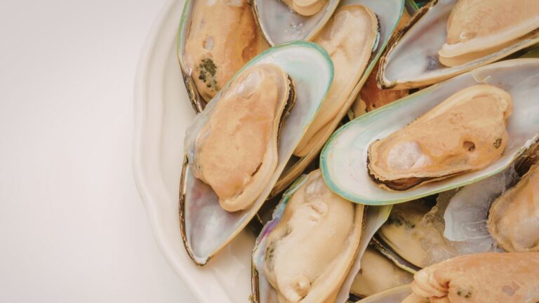 Choosing the Best Green Lipped Mussels vs Blue Lipped Mussels for Your Dog