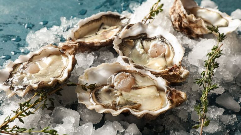Can Dogs Eat Oysters? Why These Tiny Shellfish Are Nutrient Powerhouses