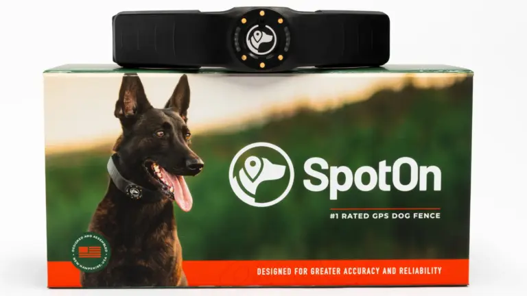 SpotOn GPS Fence Review: Is It Safe for Dogs?
