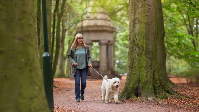 The Ideal Duration for Daily Dog Walks
