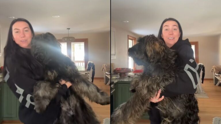 The Incredible Transformation of a Puppy That Outgrew Every Expectation