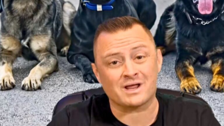 Three Dog Breeds That Most Families Should Think Twice About Getting