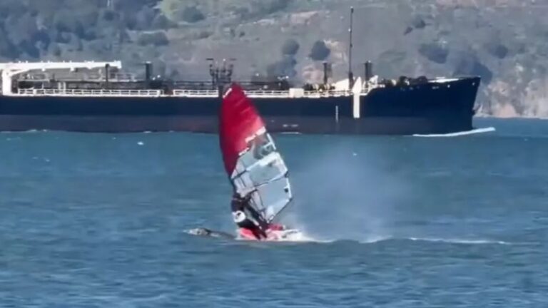 Windsurfer Slams Into a Gray Whale and Goes Flying Into San Francisco Bay