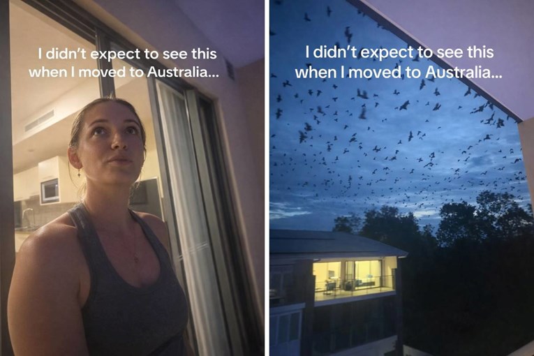 American Woman Moves to Australia Expecting Giant Spiders but Gets Horrified by Something Else Entirely