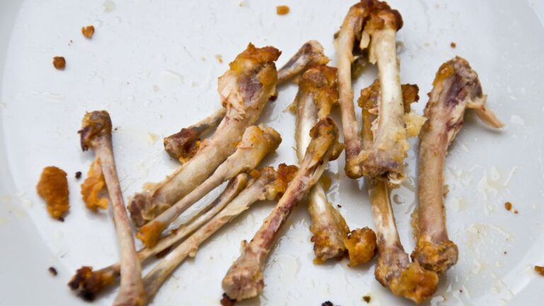 Don’t Panic When a Dog Eats a Cooked Chicken Bone