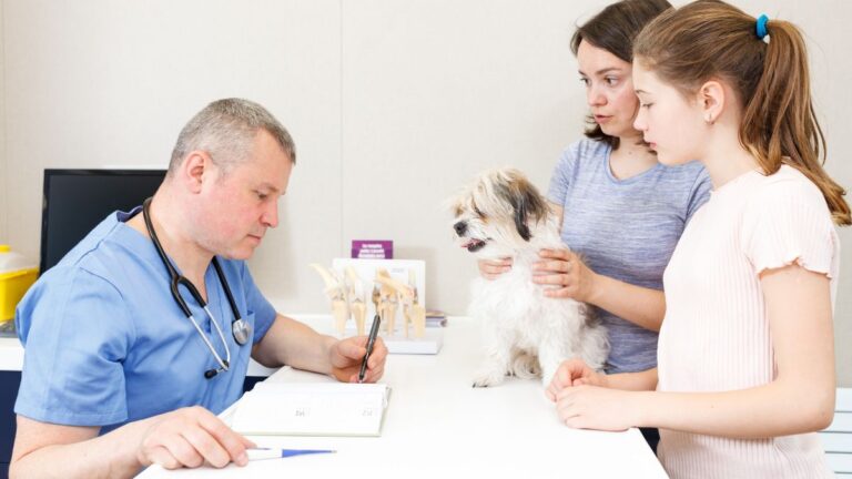 A Vet’s Heartfelt Plea to Dog Owners: “Maybe It’s Hard for You to Say Goodbye, but for Them It’s Hell. Don’t Leave Them Alone”