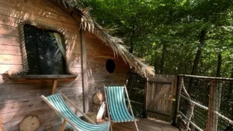 The Treetop Retreat in Normandy That Lets You Sleep Among Century-Old Oaks