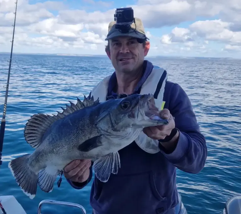 An Incredibly Rare Prehistoric Fish That Gobbles Up Sharks Caught Off UK Coast In A Major Breakthrough