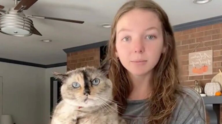 A College Student Found a Genius Way to Help Her Overweight Cat Shed the Pounds