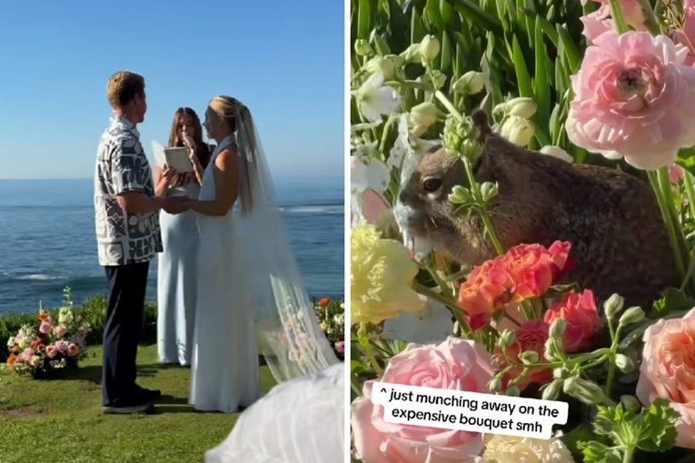 Unexpected Wedding Guest Delights Everyone With A Flower Snack