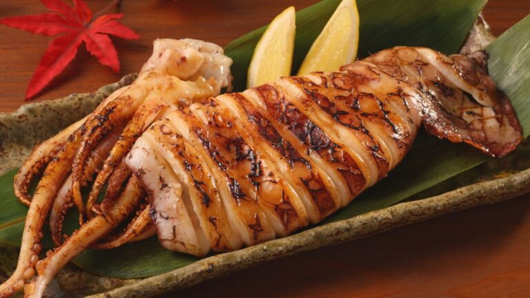 Can Dogs Eat Squid? What Every Dog Owner Needs to Know