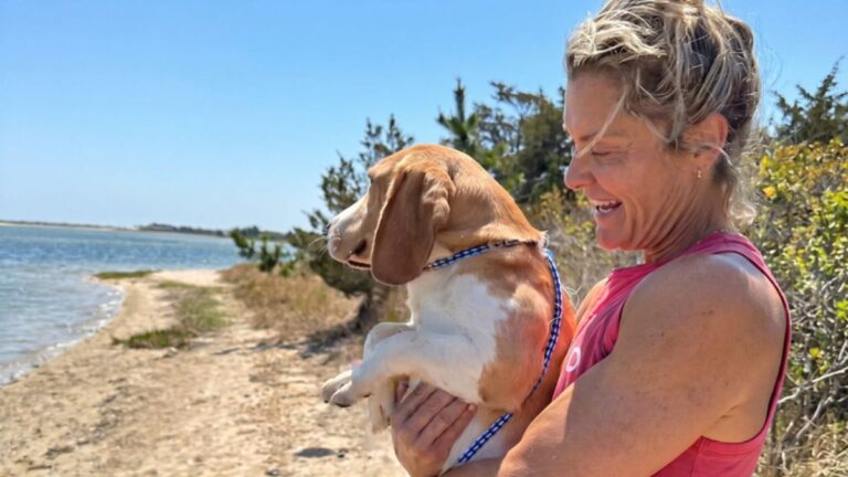 The Sweetest Reaction of a Rescued Beagle Seeing the Ocean for the Very First Time