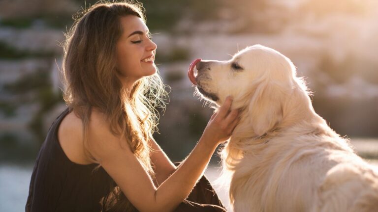 Dog Breeds That Tend to Bond Most Strongly With Women