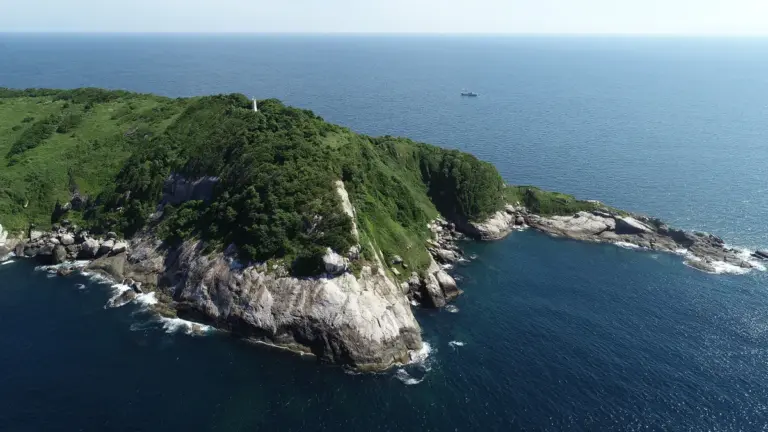 This Man Snuck Onto the Deadly Snake Island Where Humans Are Forbidden to Visit