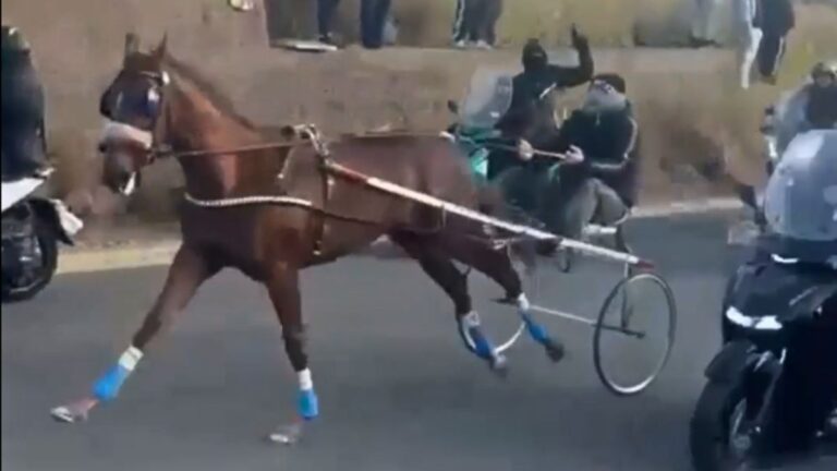 Sicilian Mafia Members on Scooters Fire AK-47s During Illegal Horse-and-Cart Street Race