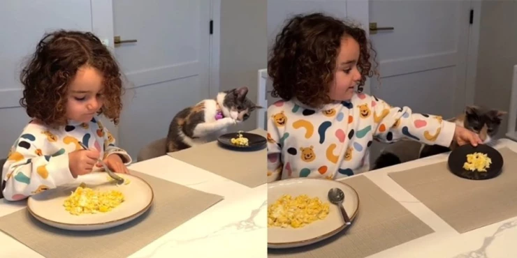 A Little Girl and Her Rescue Cat Are Taking the Internet by Storm With Their Unbreakable Friendship