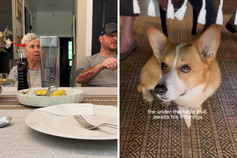 A Corgi Patiently Waiting Under the Dinner Table Has Gone Viral