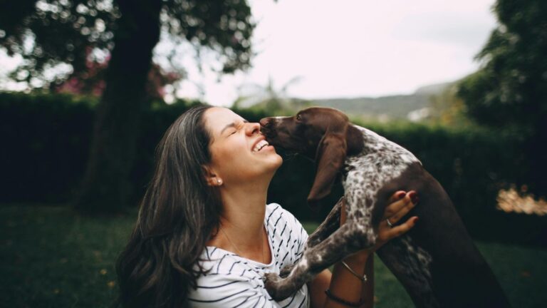 Should You Let Your Dog Lick Your Face? What the Experts Actually Say