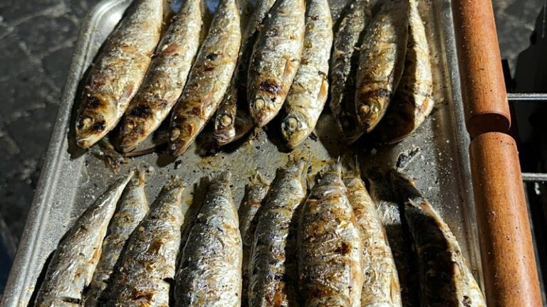 Can Dogs Eat Sardines in Olive Oil? Safe Guide