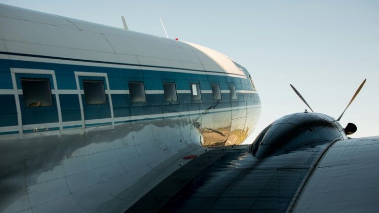 Can You Take a Gecko on a Plane? Pet Travel Guide