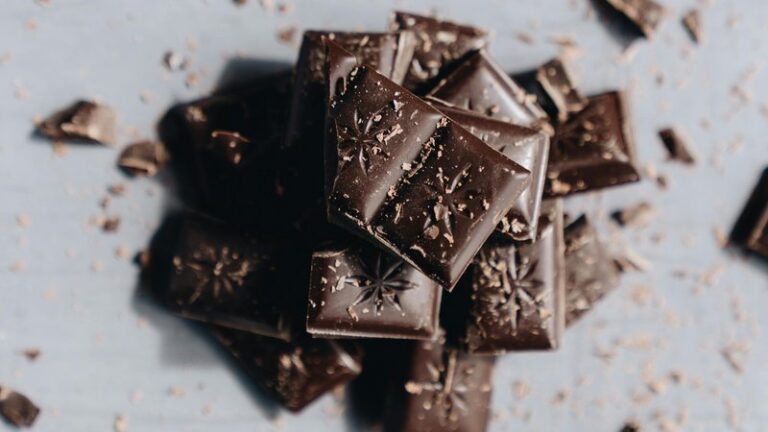 Can Dogs Eat Chocolate? Safety Guide for Pet Owners