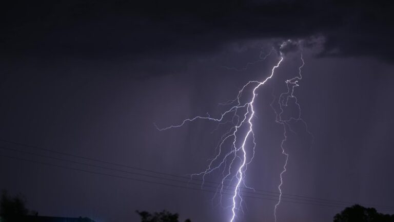 How to Help an Anxious Dog During Thunderstorms