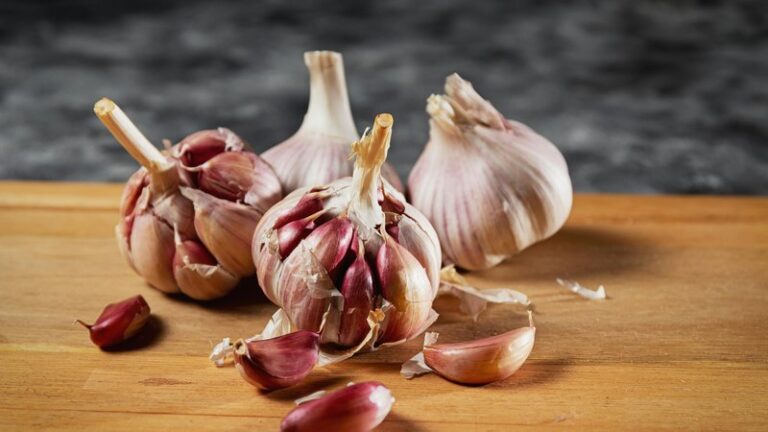 Can Dogs Eat Garlic? Safety Guide for Pet Owners