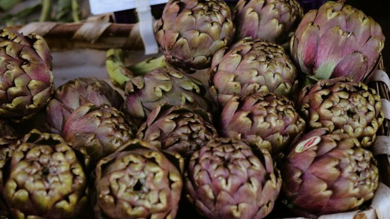 Can Dogs Eat Artichoke? Safety Guide for Pet Owners