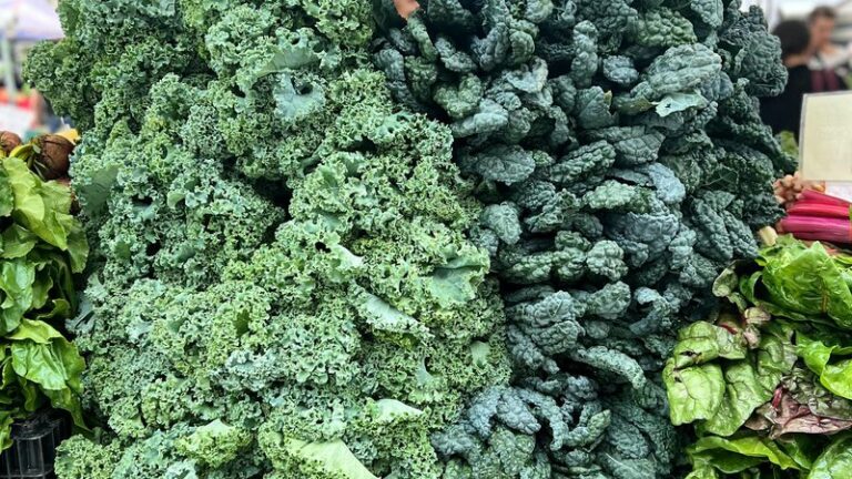 Can Dogs Eat Kale? Safety & Health Benefits