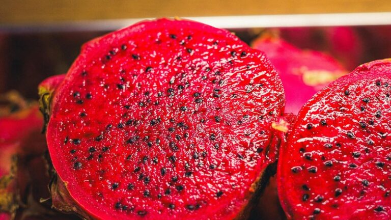 Can Dogs Eat Dragonfruit? Safety Guide