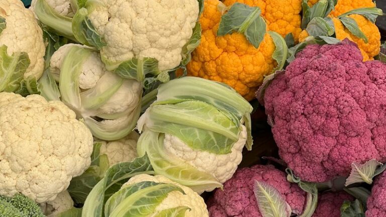 Can Dogs Eat Cauliflower? Safety & Benefits