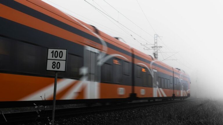 Can You Take a Cat on a Train in Europe?