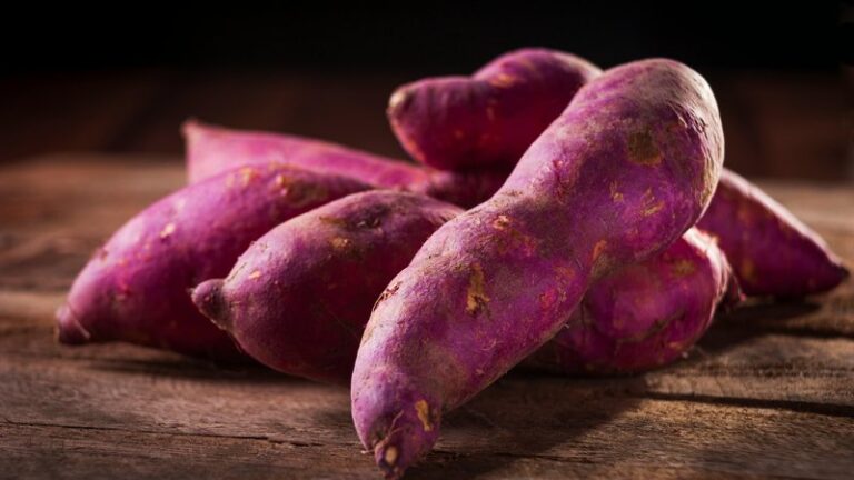 Can Dogs Eat Sweet Potato? Safety & Benefits