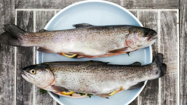 9 Best Fish for Dogs to Eat: Safe Options and Health Benefits