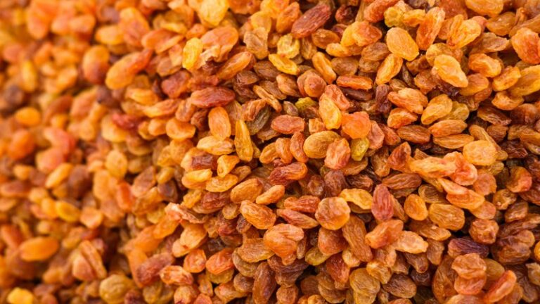Can Dogs Eat Raisins? Safety Guide for Pet Owners
