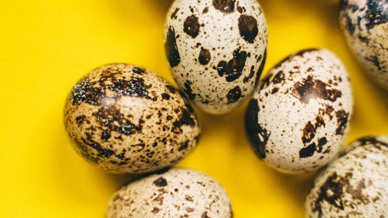 Can Dogs Eat Quail Eggs? Safety & Benefits