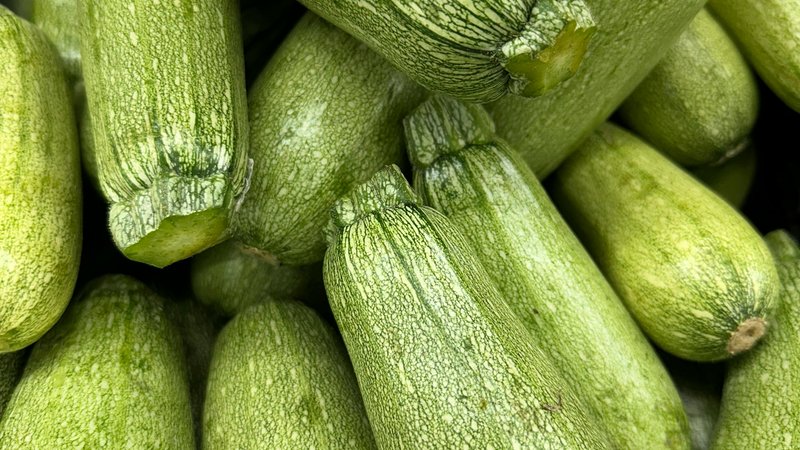 Les chiens peuvent-ils manger des courgettes ? Sécurité et avantages – Gardez la queue en mouvement
