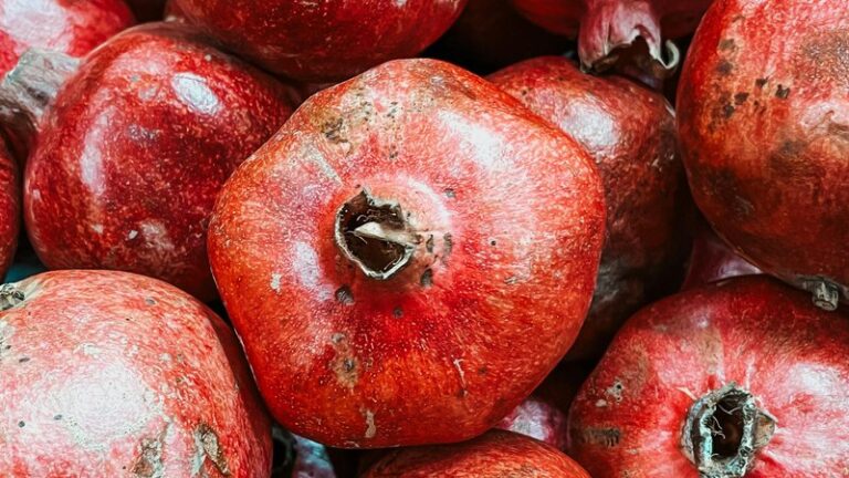 Can Dogs Eat Pomegranate? Safety Guide