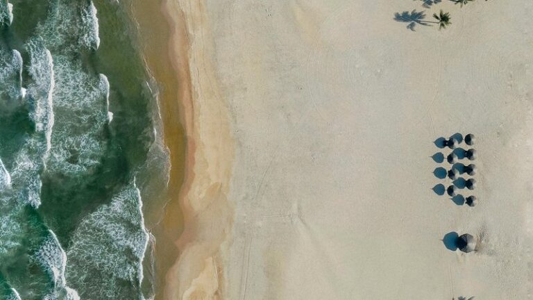 Dog Water Safety Tips at the Beach