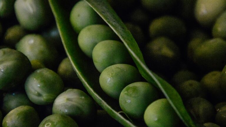 Can Dogs Eat Peas? Safety & Nutrition Guide