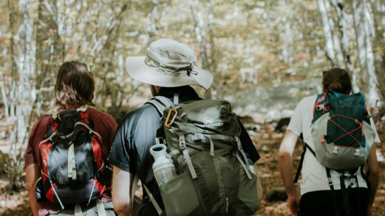 11 Dog Friendly Hiking Trails in Croatia