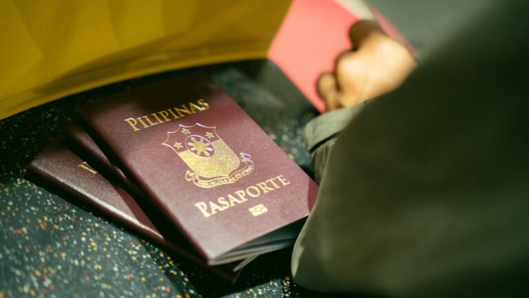 How to Travel With a Dog Internationally