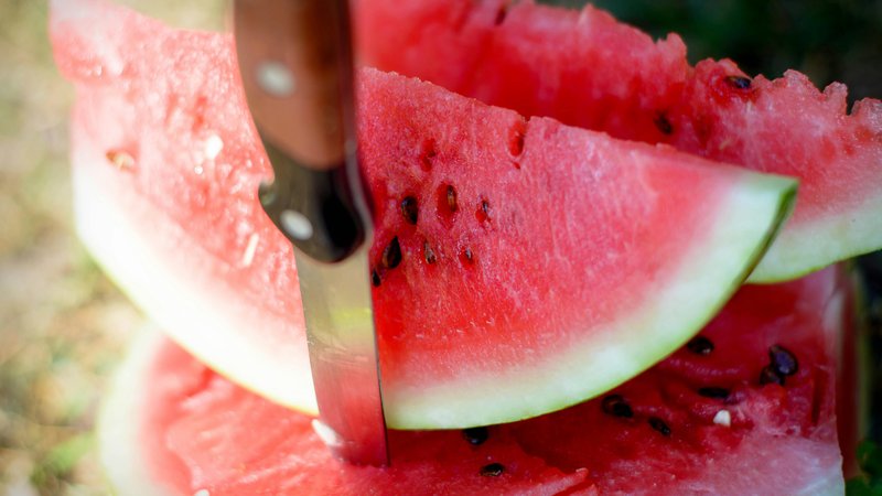 Can Dogs Eat Watermelon? Safety Guide for Pet Owners – Keep the Tail Wagging
